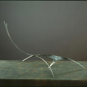 Synthesis of animal # 5