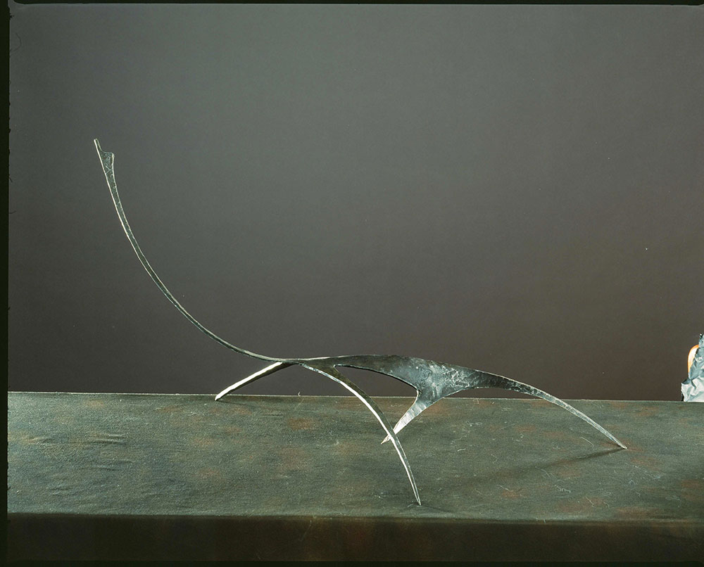 Synthesis of animal # 5