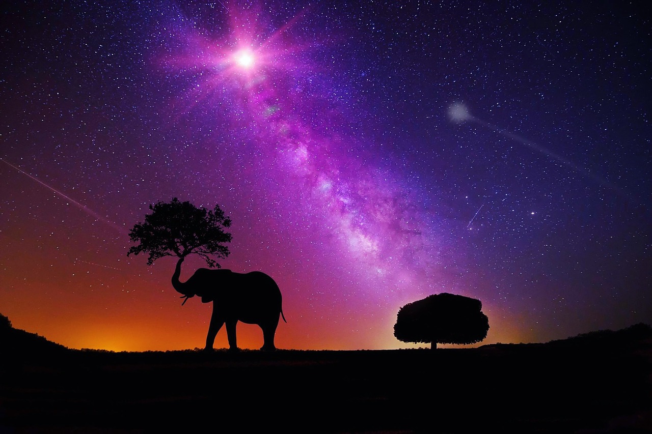 Divinazione Completa
